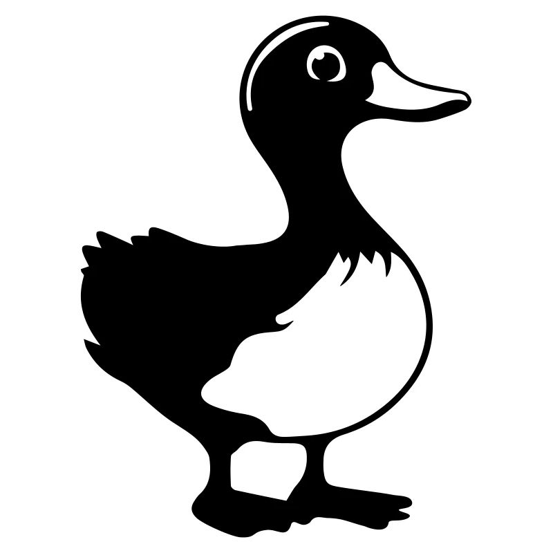 canard