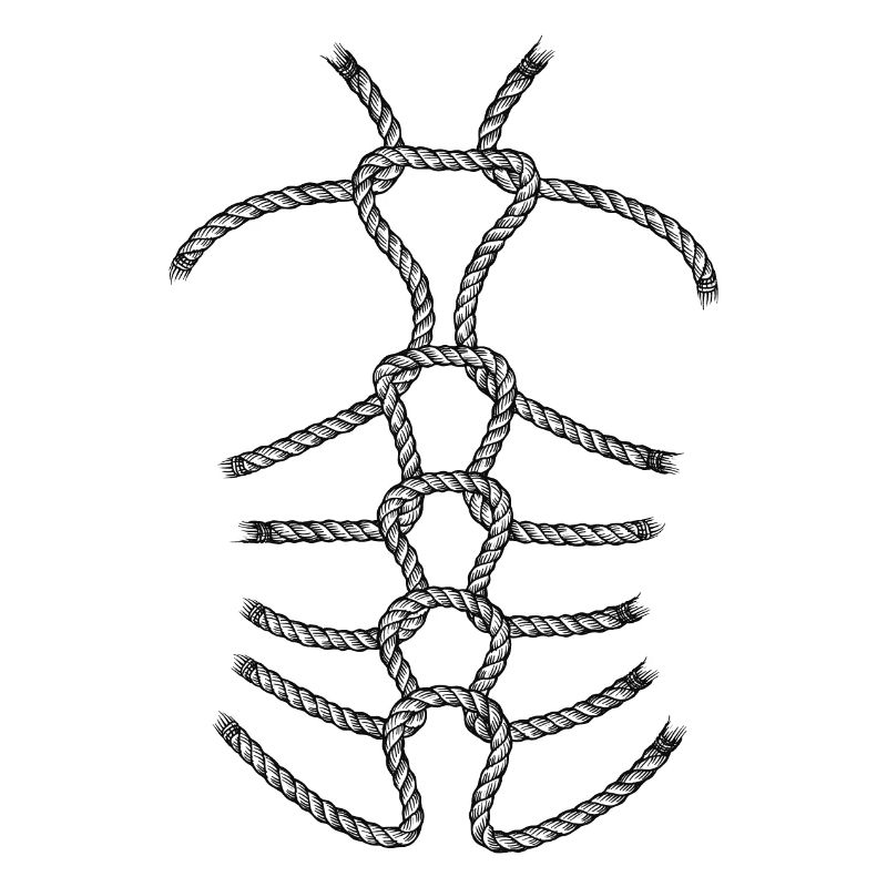 Shibari 1