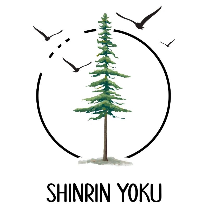 forest bathing forest shinrin yoku forest walker forest bath