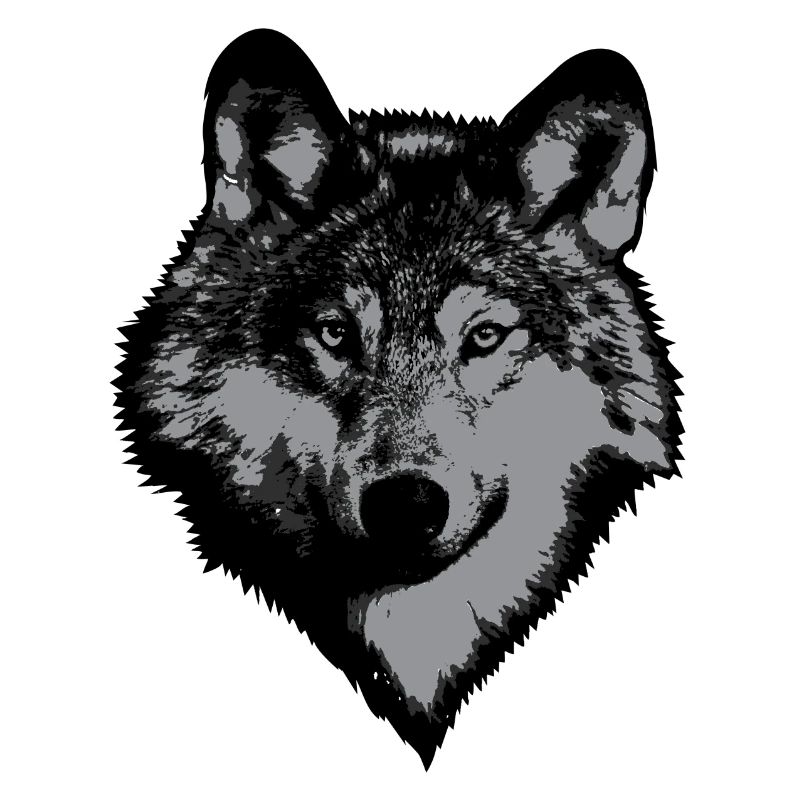 Wolf Kopf