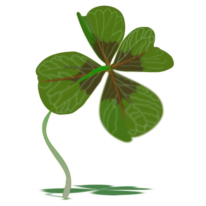cloverleaf