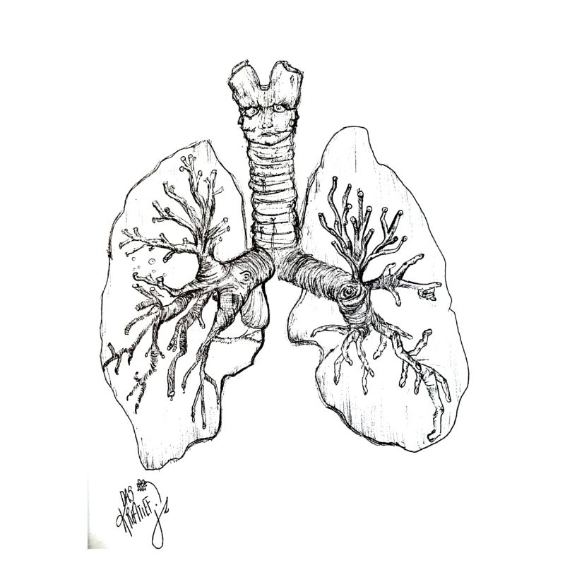 FunWithLungs