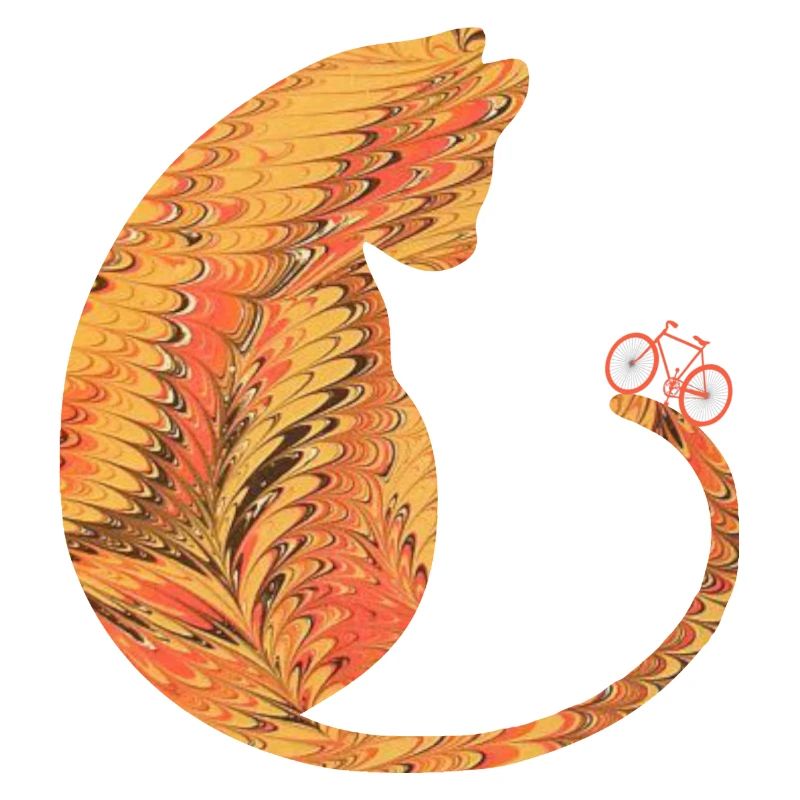 Chat avec vélo E 118