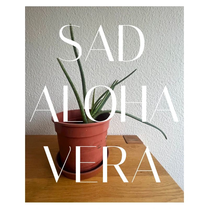 SAV-FFFFFF SAD ALOHA VERA