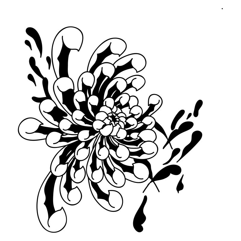 CHRYSANTHEMUM
