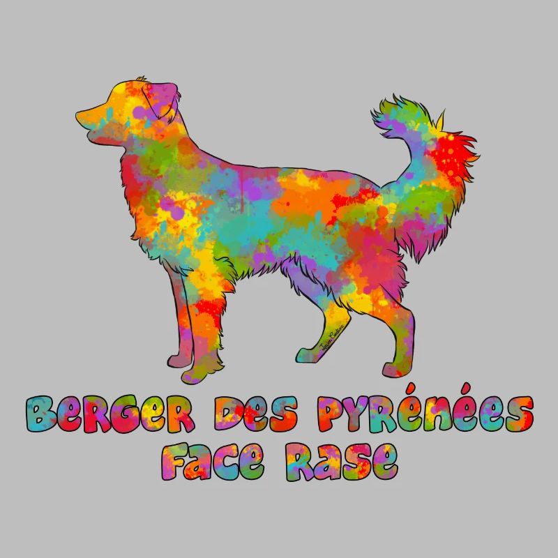 Pyrenean Shepherd Multicolor Gesicht rasiert