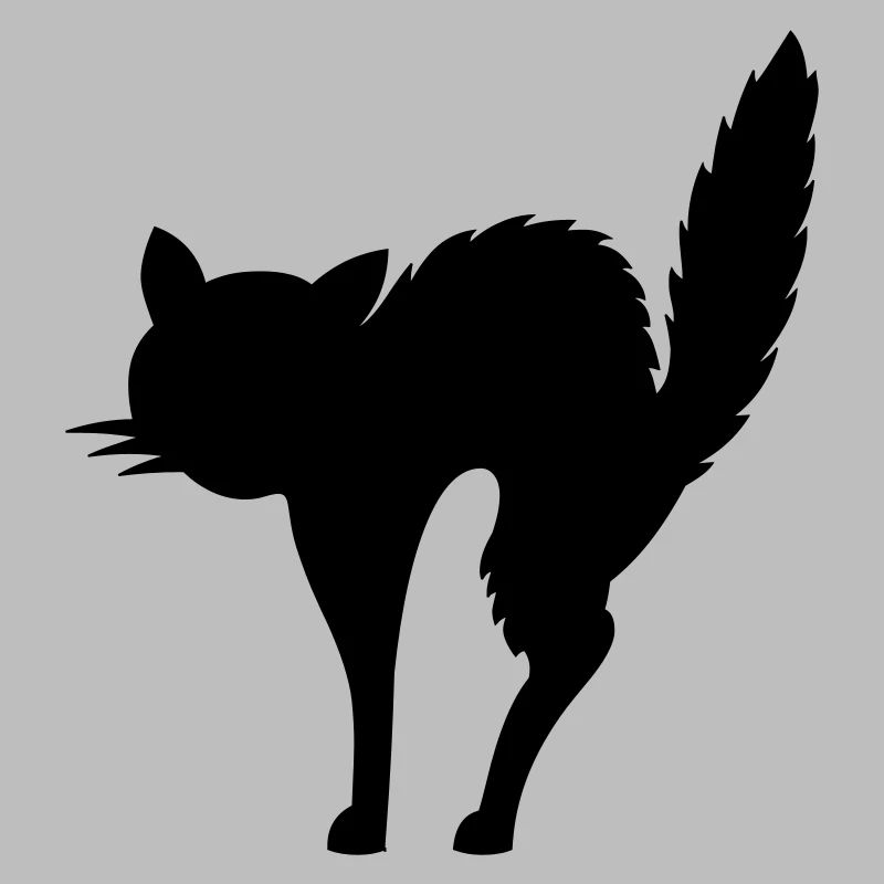 scared cat (cheap!)