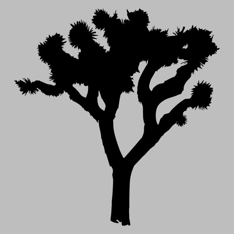Joshua Tree