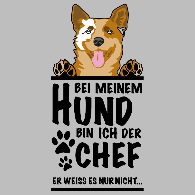 Chef Cattle