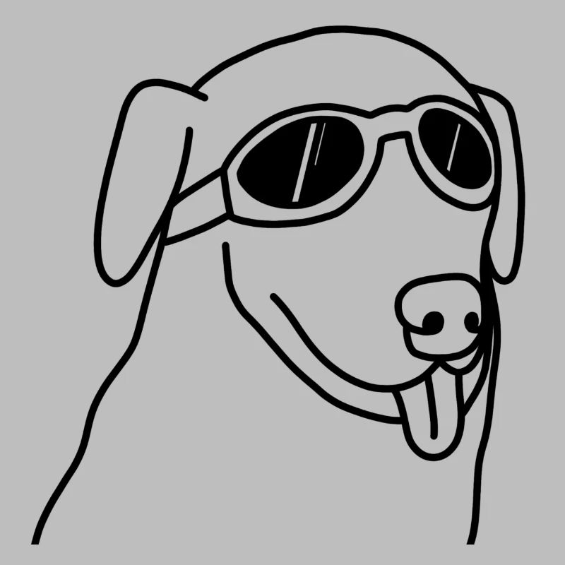 cool dog