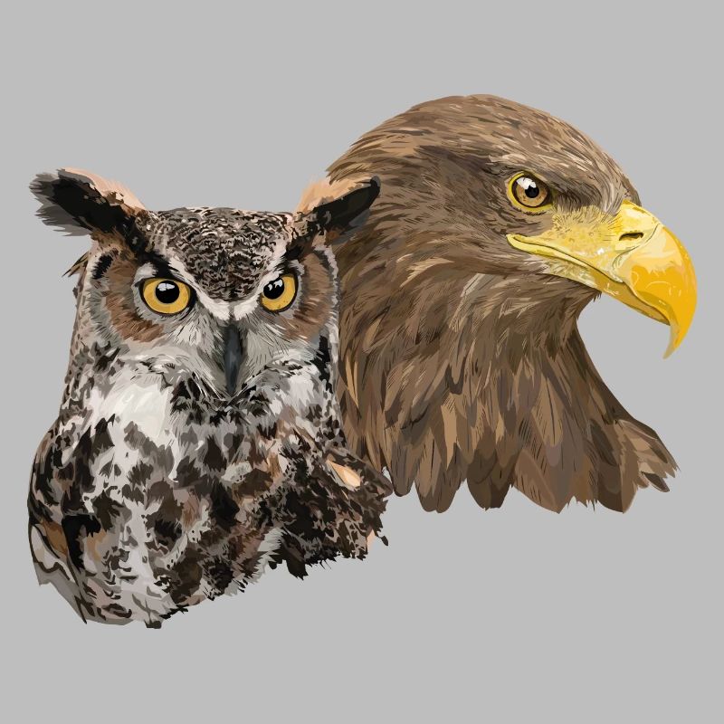 Pigargo und Eule