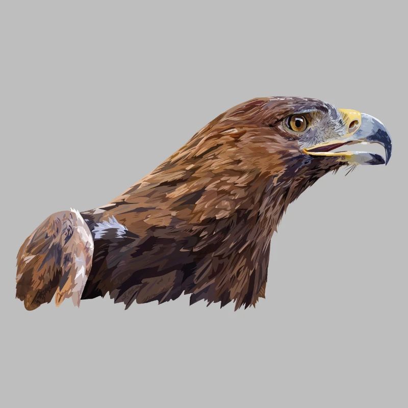 Golden Eagle