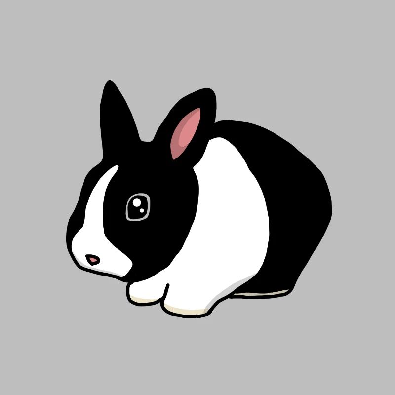 Dwarf rabbit, sweet
