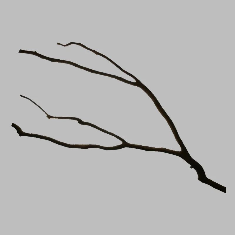La branche