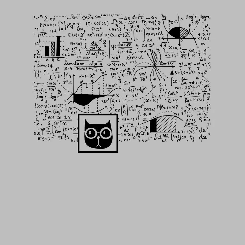 Nerd Schrödinger Physics Big Bang Funny Gift