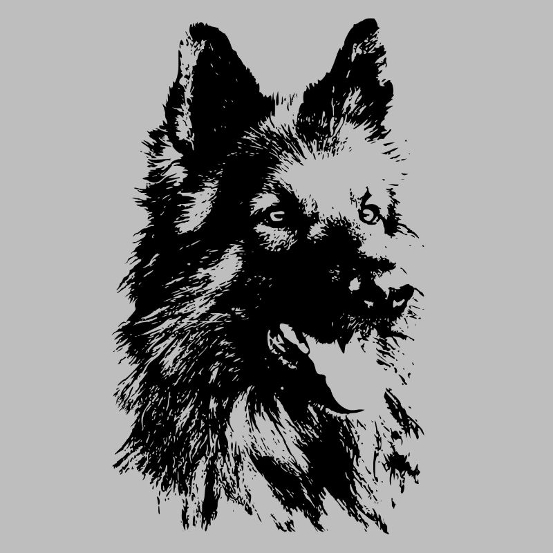 Deutscher Schäferhund
