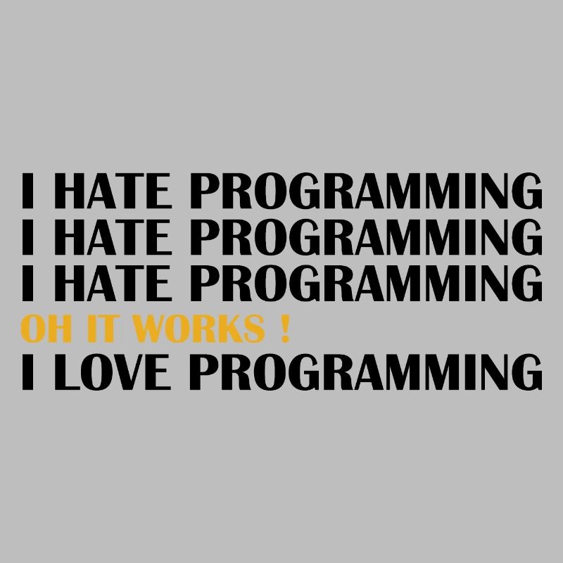 Computer Scientist Computer Science Student i love programming