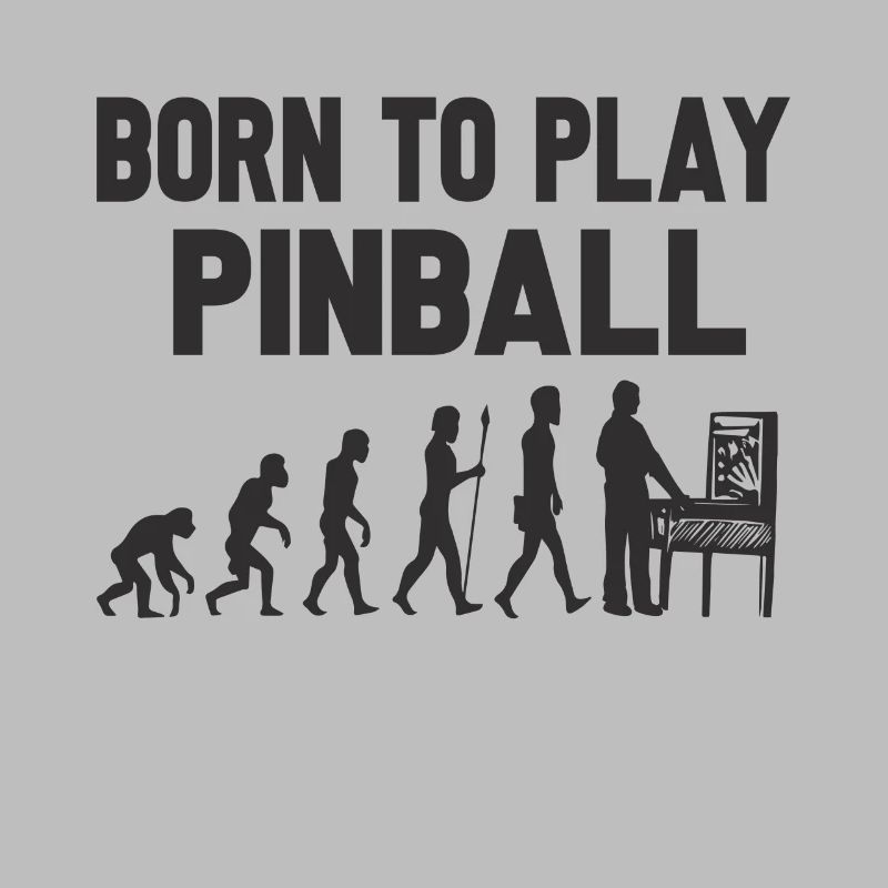 born to play pinball evolution game play