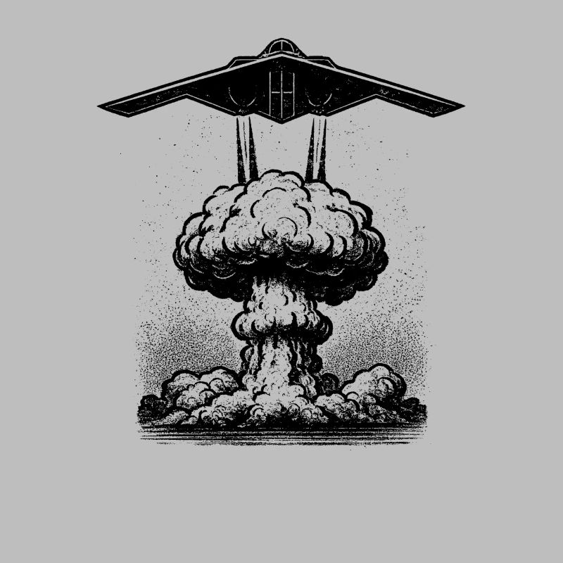 B-2 Stealth Bomber Militärflugzeug B2 Bomber