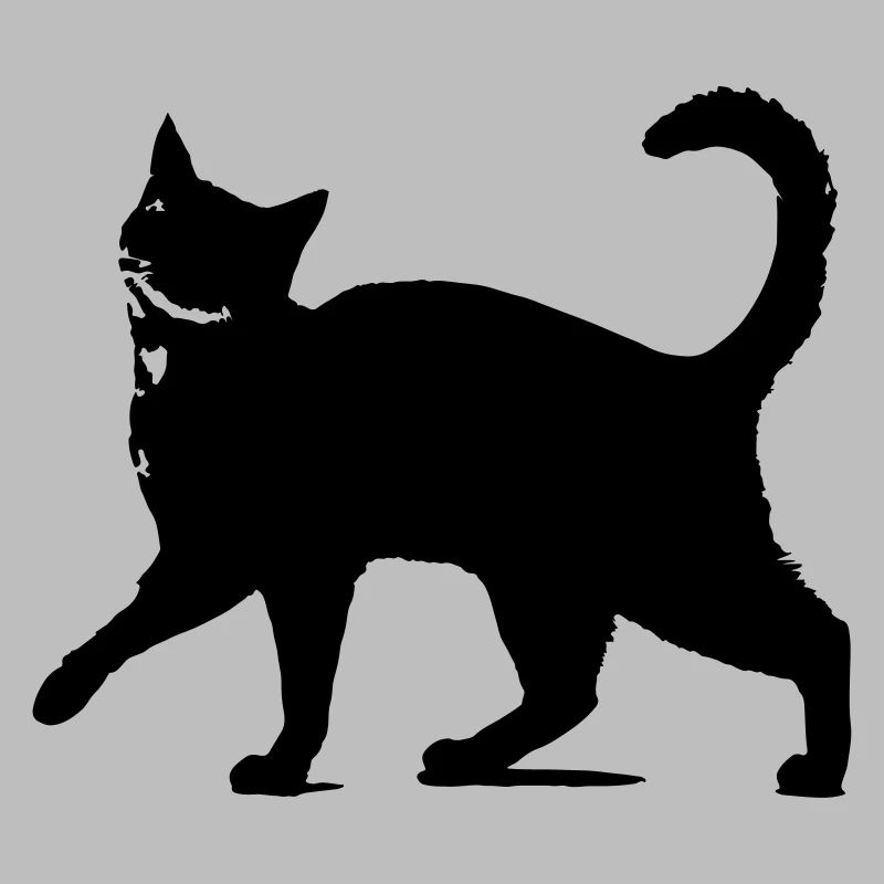 Silhouette de chat noir // silhouette de chat noir!