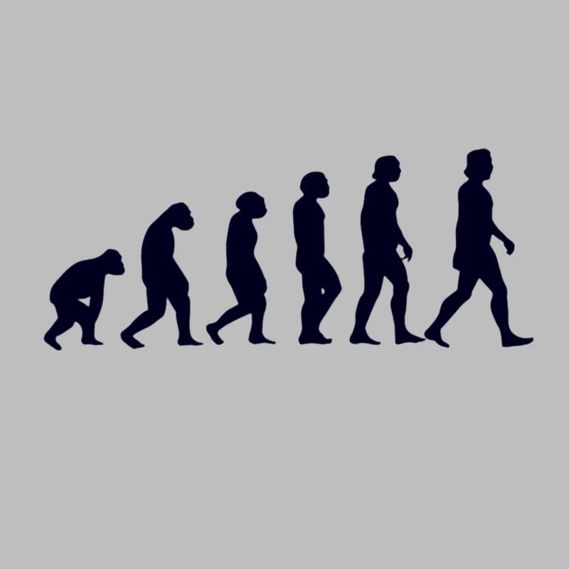 Evolution du singe à l'homme