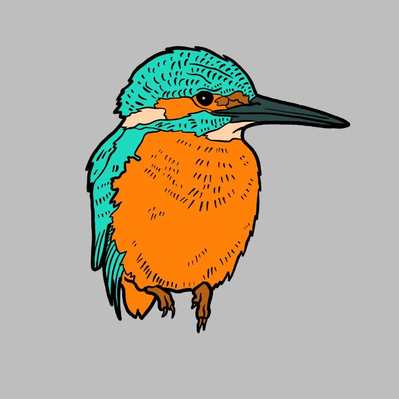 Eisvogel