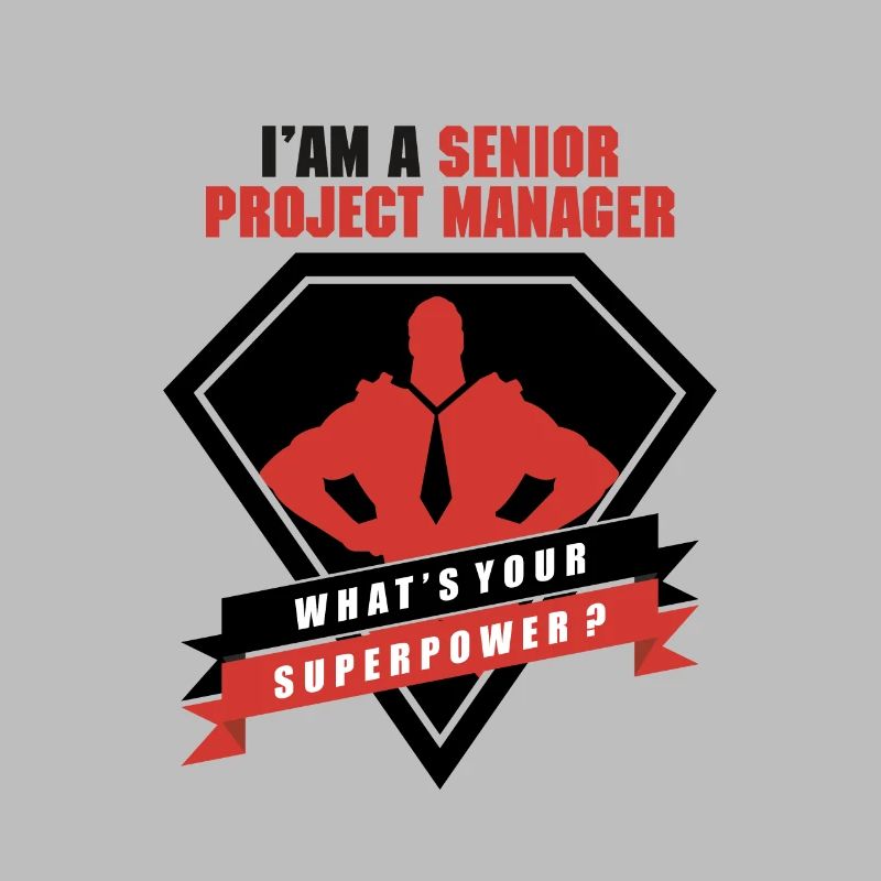 I am a Senior Project Manager