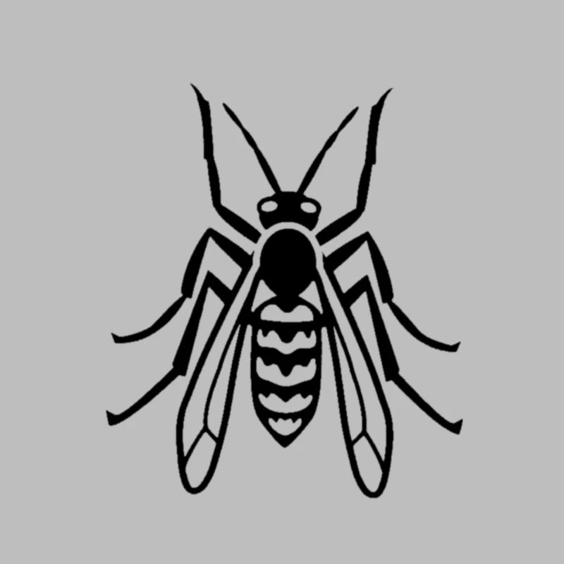 Avispa negra