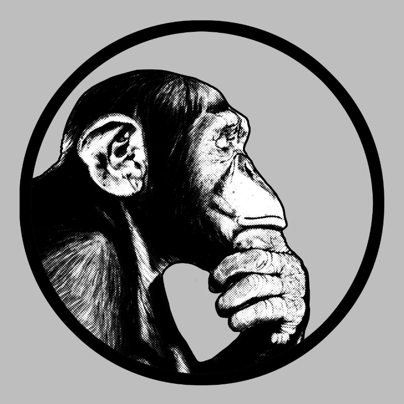 Think after monkey chimpanzee