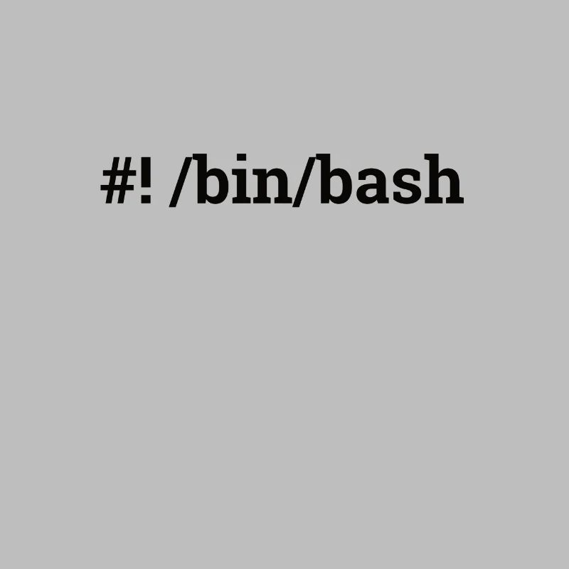 "/bin/bash" | Admin, Computer Science