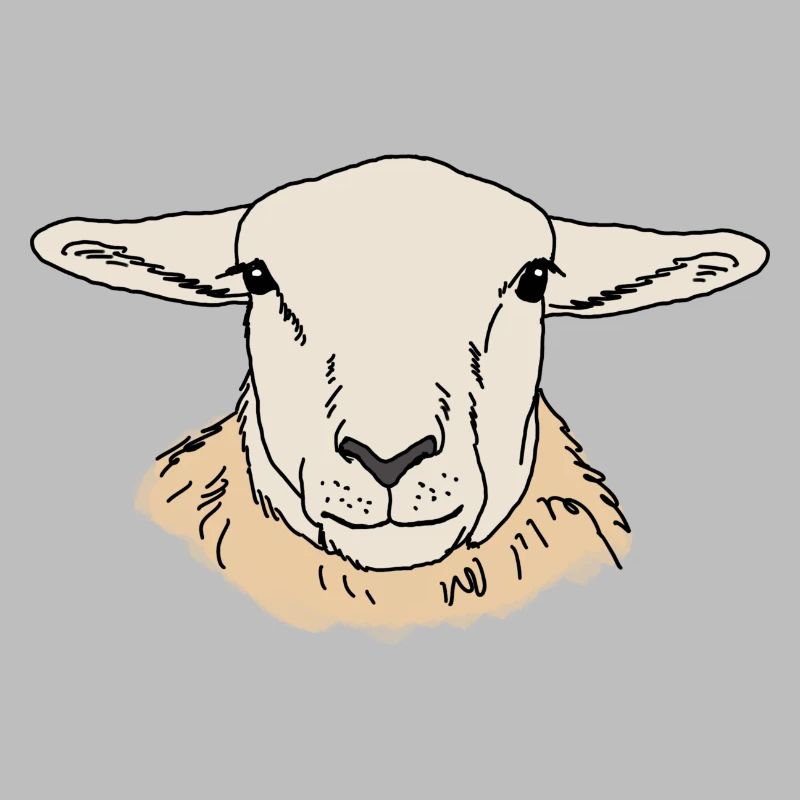 Sheep head