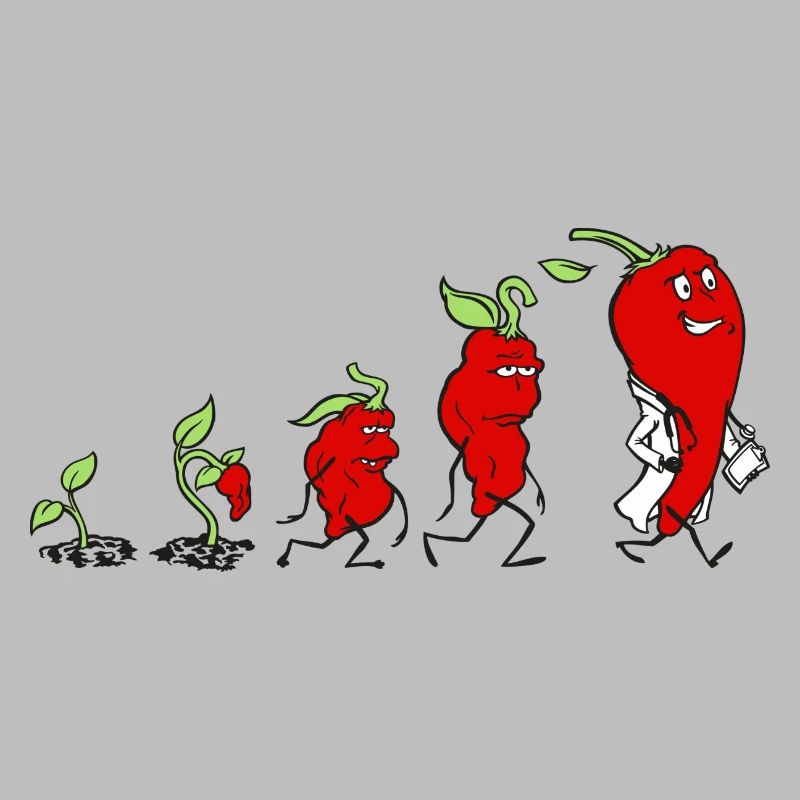 Chili evolution