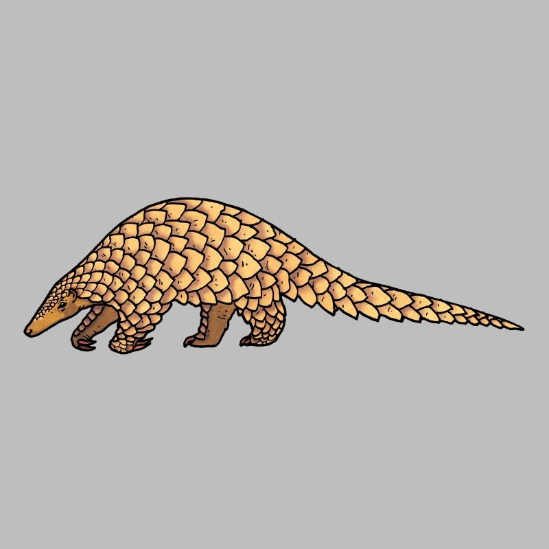 Pangolin 02