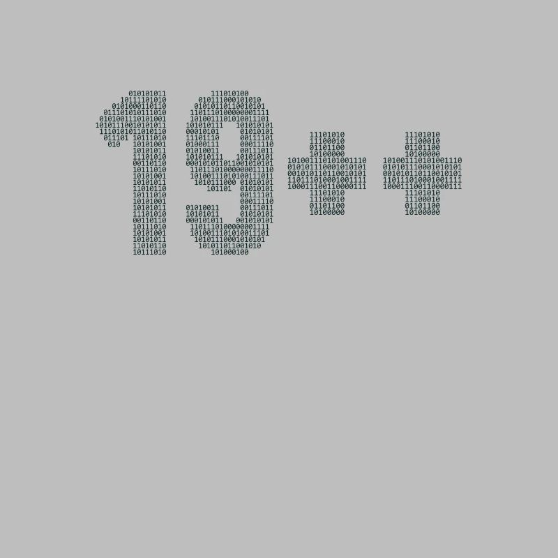19++ Programmeur Ingénieur logiciel Codeur 20e