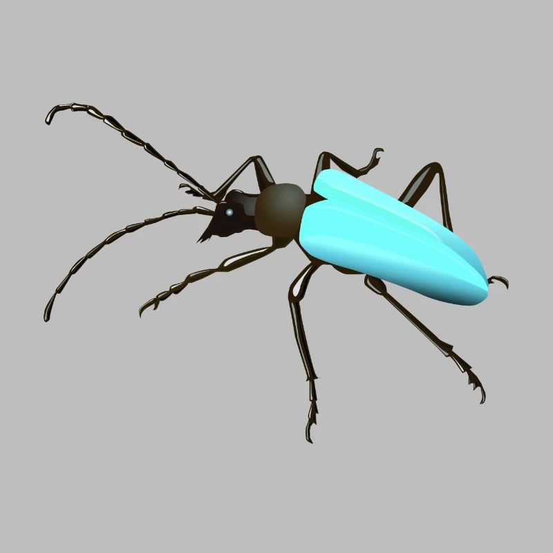 Bug - Insekt