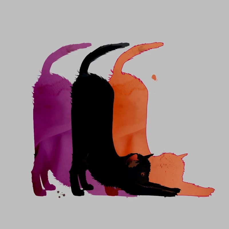 Katze