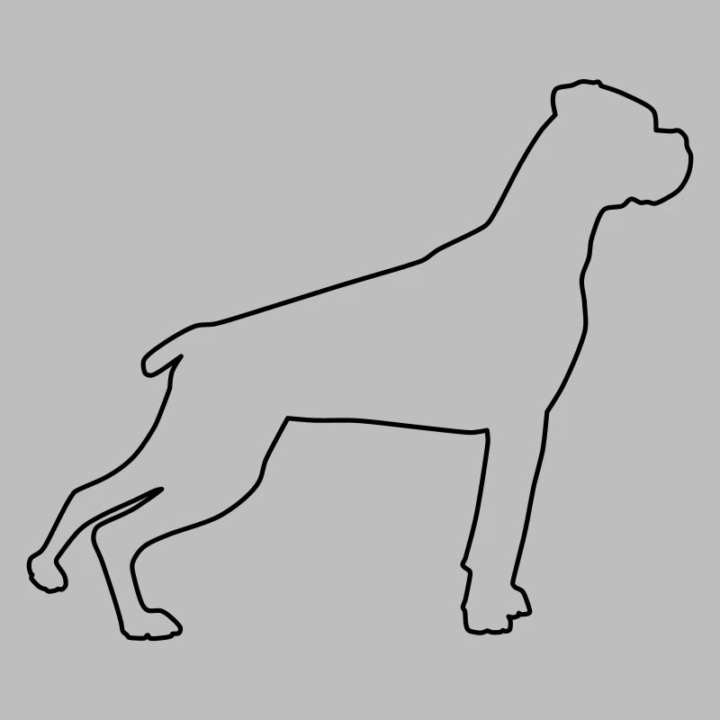 Contours de boxer 1