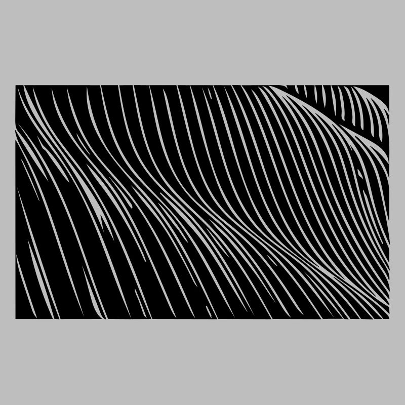 Zebra waves lines