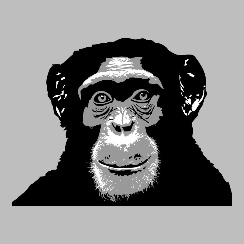 Chimpanzé - singe