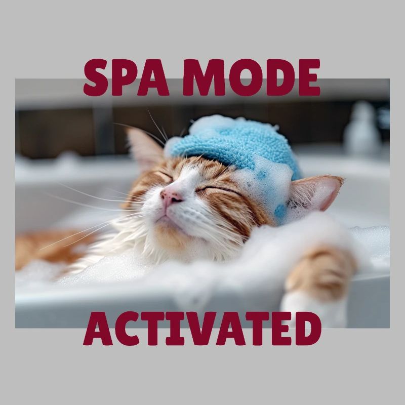 Mode spa chat