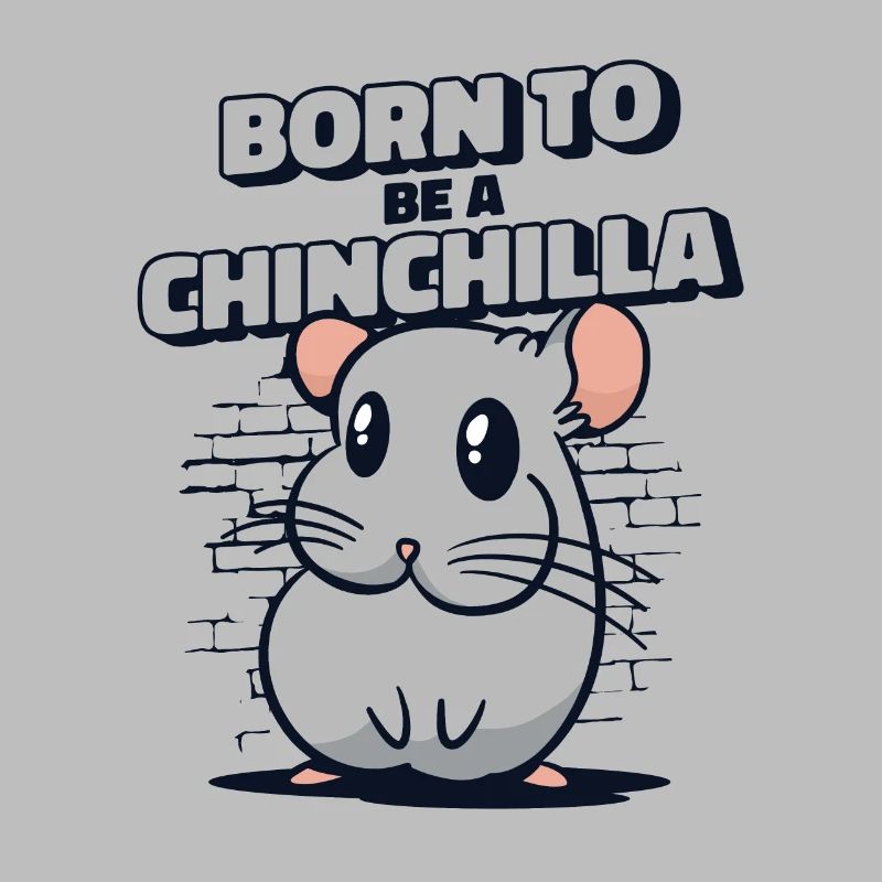 Né pour être un chinchilla à queue courte longue queue