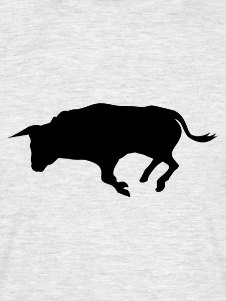 stier