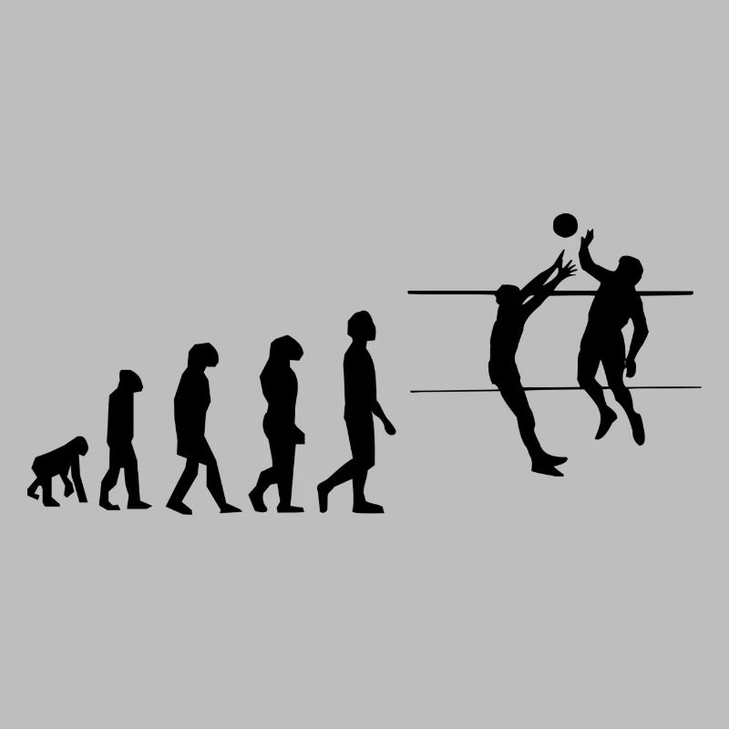 Volley évolution