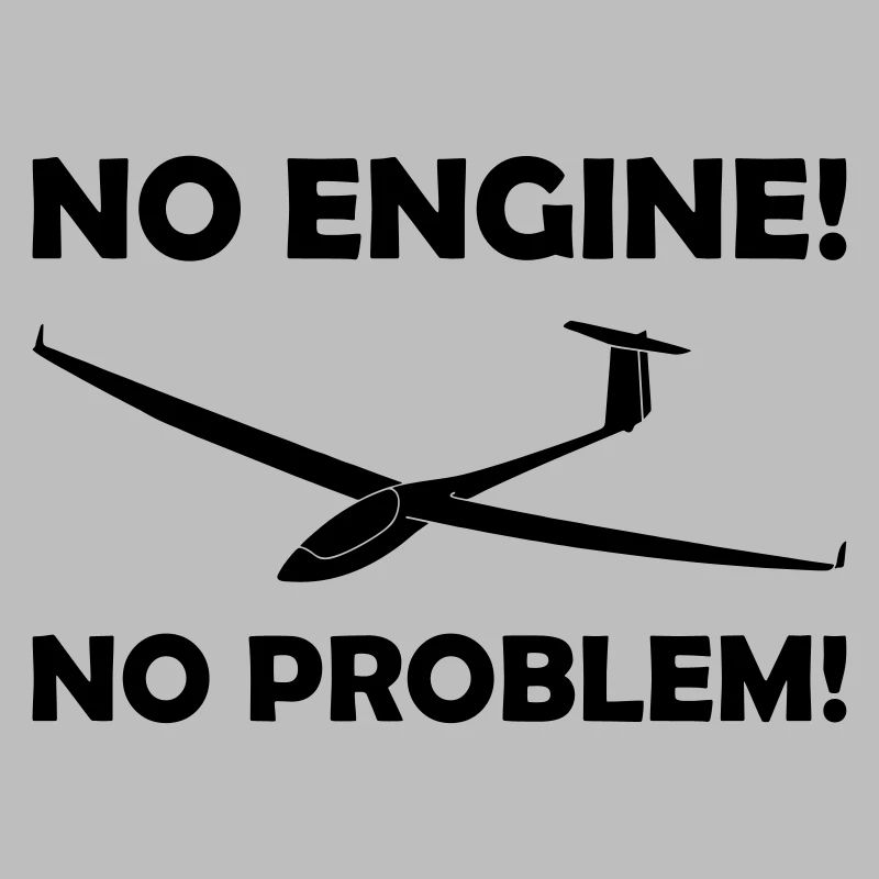 No engine no problem glider pilot saying pilot