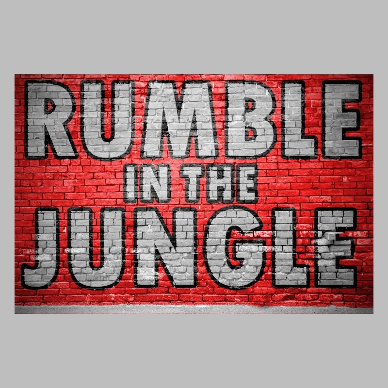 Rumble in the Jungle Brick Wall Graffiti