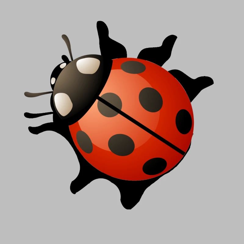 Ladybug red gift present idea
