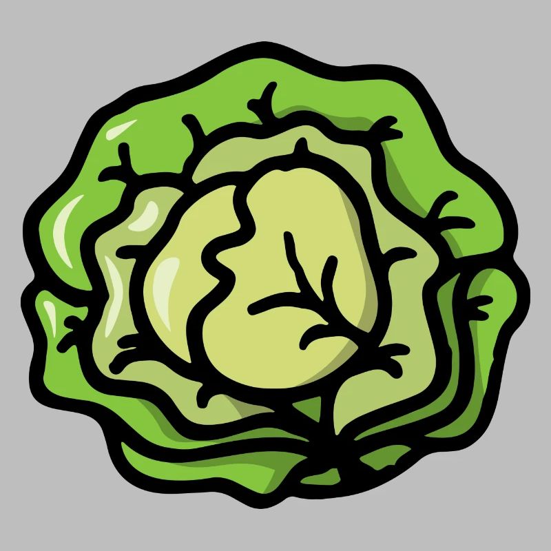 Salade de choux légumes - salade cabbage vegetable