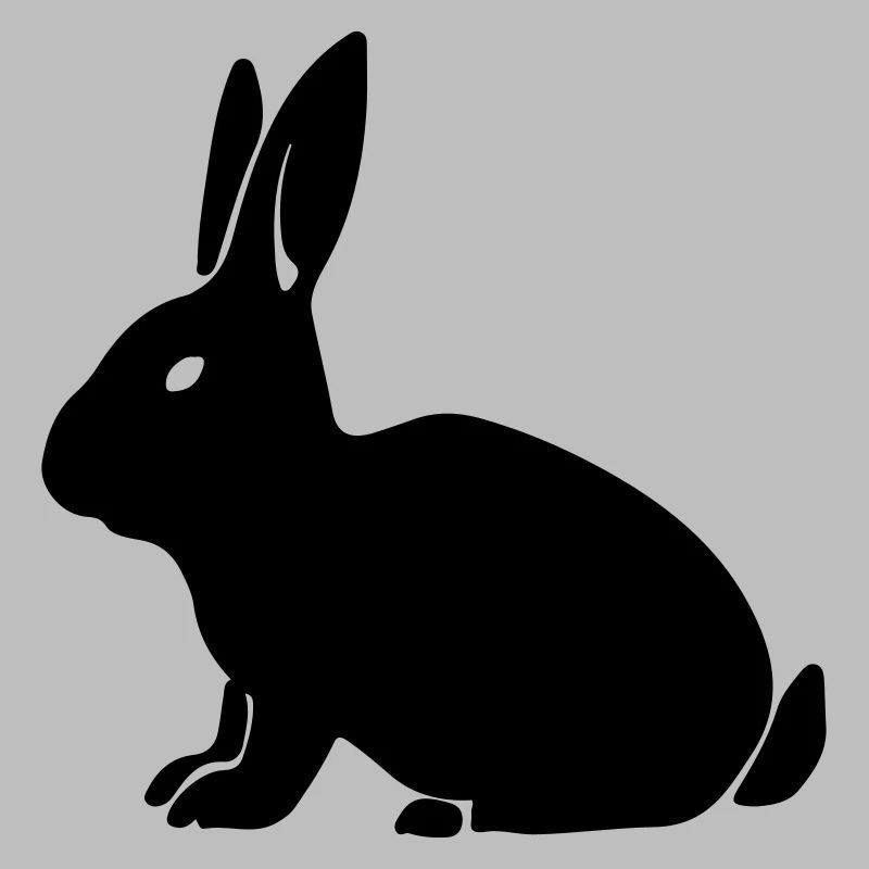lapin 1