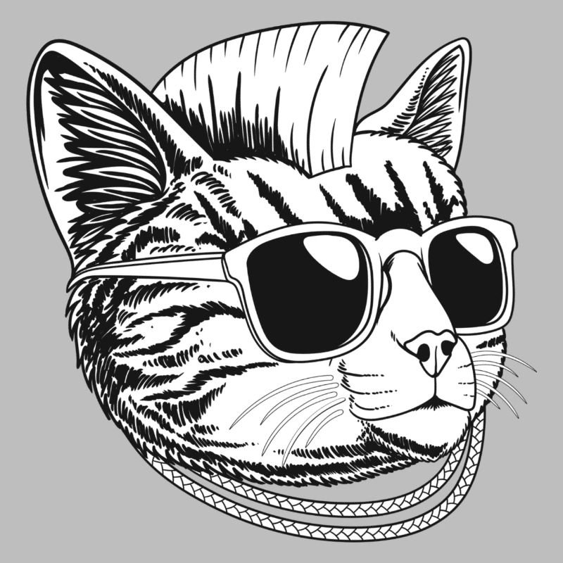 Chat punk