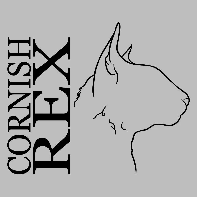 Cornish Rex Profil Chat Cat Wilsigns